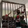 Opaalamende ya Uganda ohela oya pititha oveta ya talululwa,ndjoka tayi pitike oompangu dhopakwiita dhi tamaneke aakwashigwana