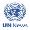 Upcoming elections ‘crucial opportunity’ for Central African Republic, UN top official tells Security Council